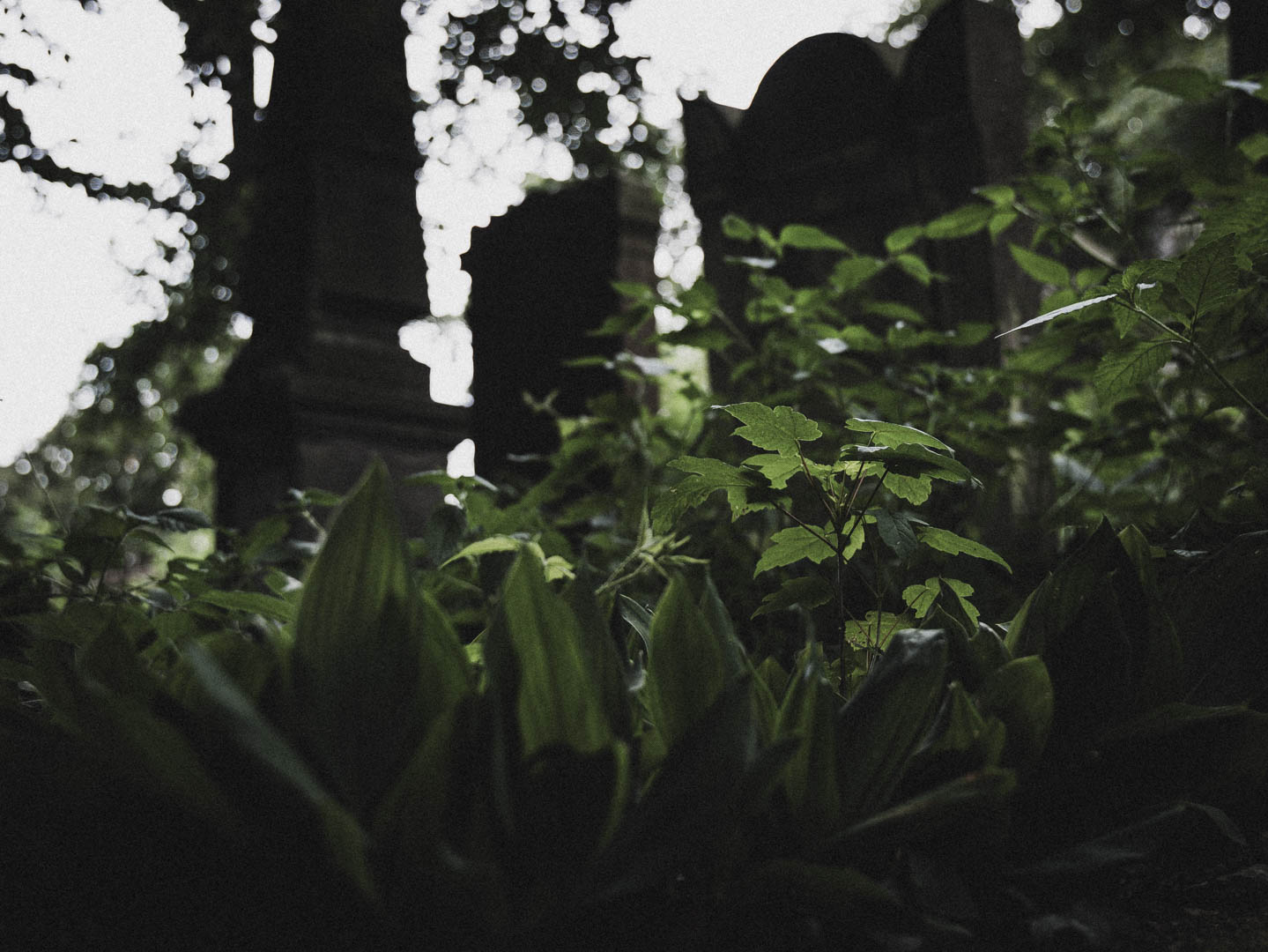 Bodenfeldem Jüdischer Friedhof